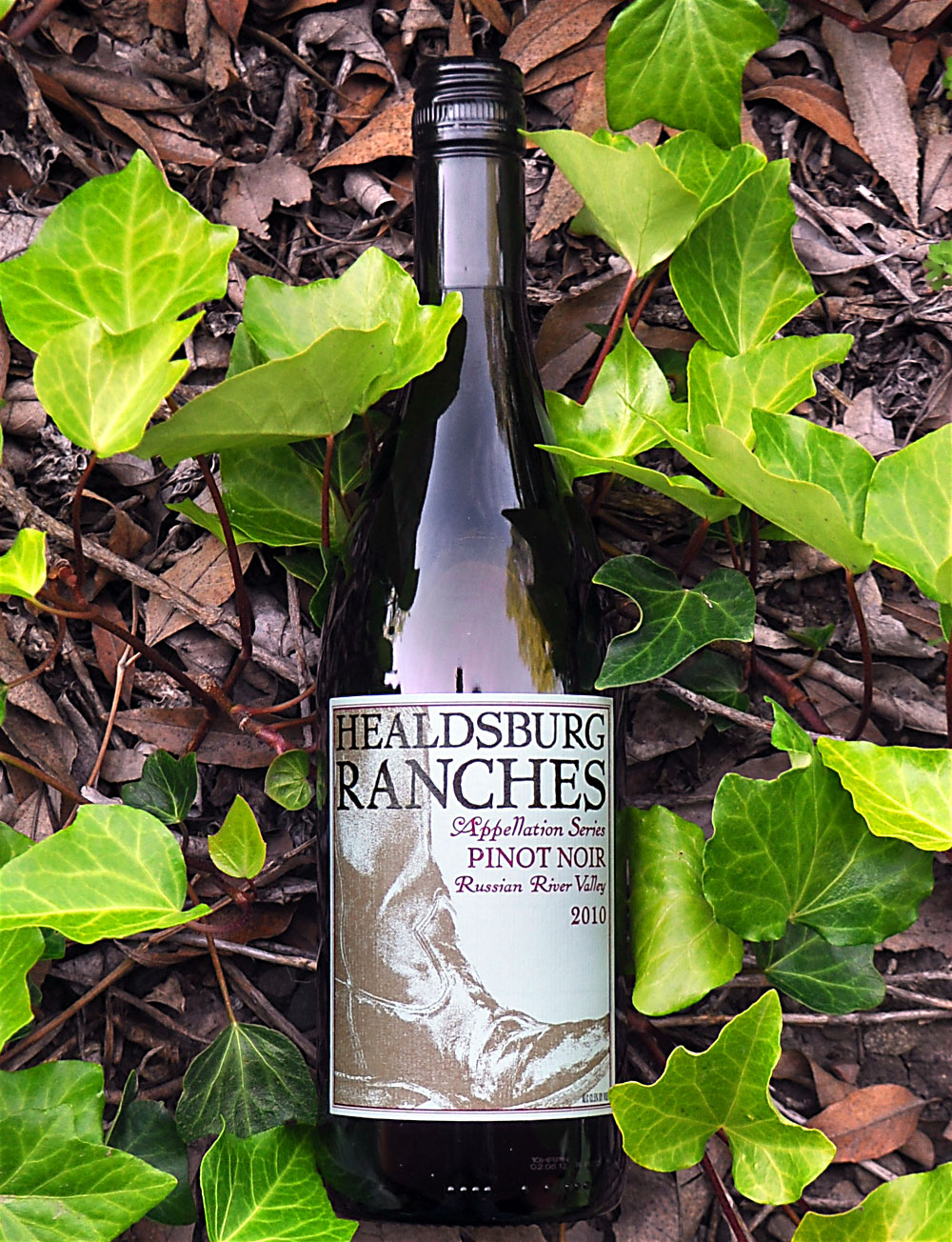Healdsburg Ranches 2010 Russian River Valley Appellation Series Pinot Noir 750ml Wine Bottle