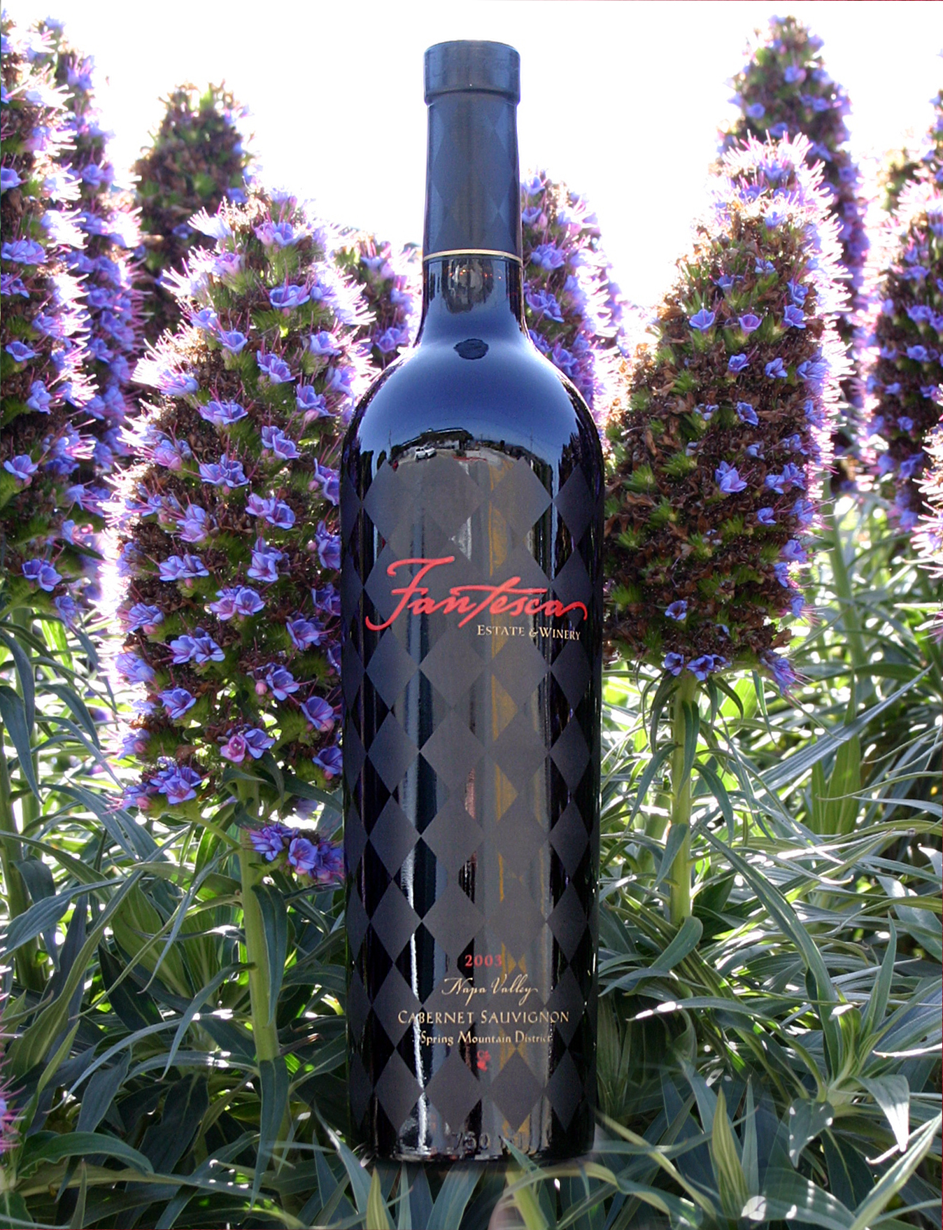 Fantesca Estate & Winery 2003 Cabernet Sauvignon 750ml Wine Bottle
