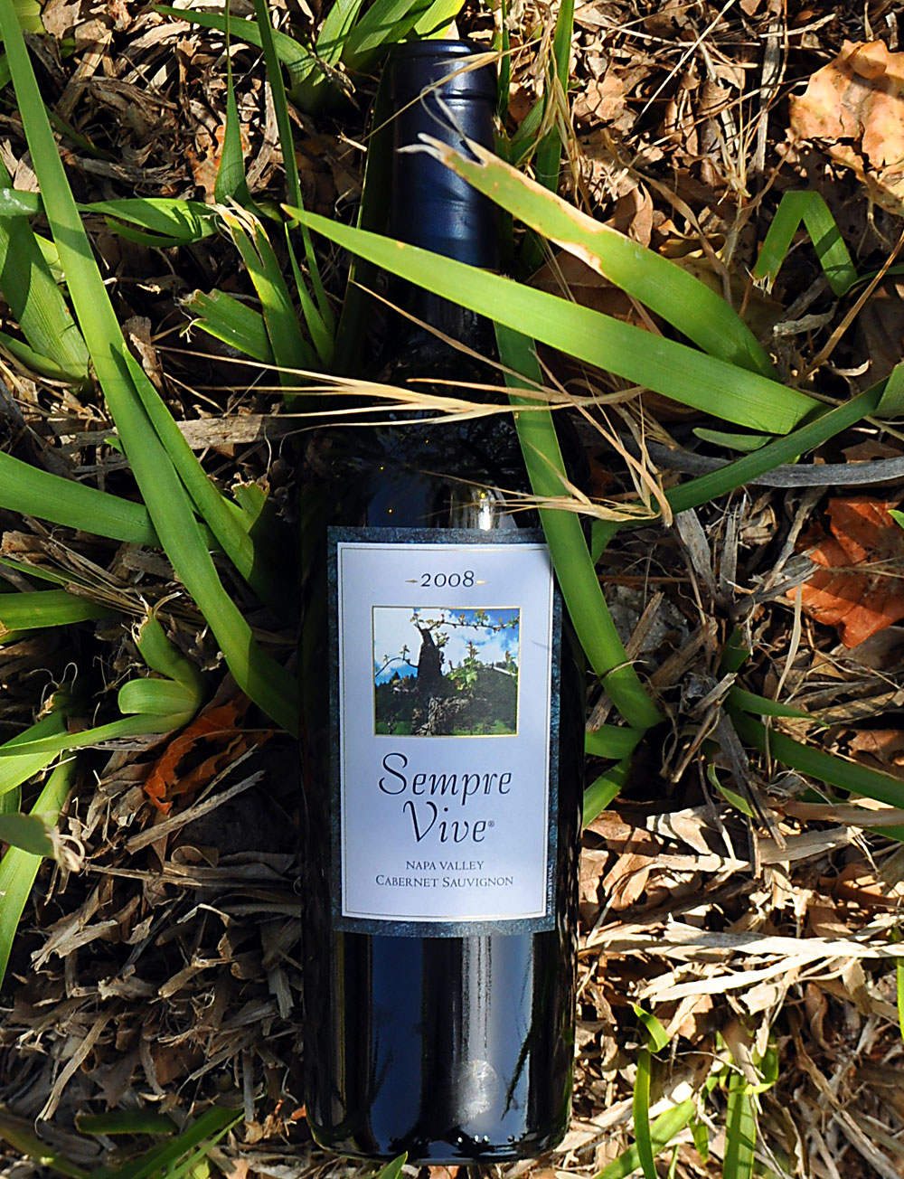 Romeo Vineyards 2008 Sempre Vive Napa Valley Cabernet 750ml Wine Bottle