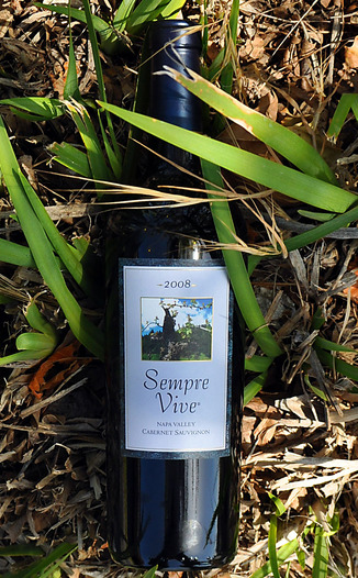 Romeo Vineyards 2008 Sempre Vive Napa Valley Cabernet 750ml Wine Bottle