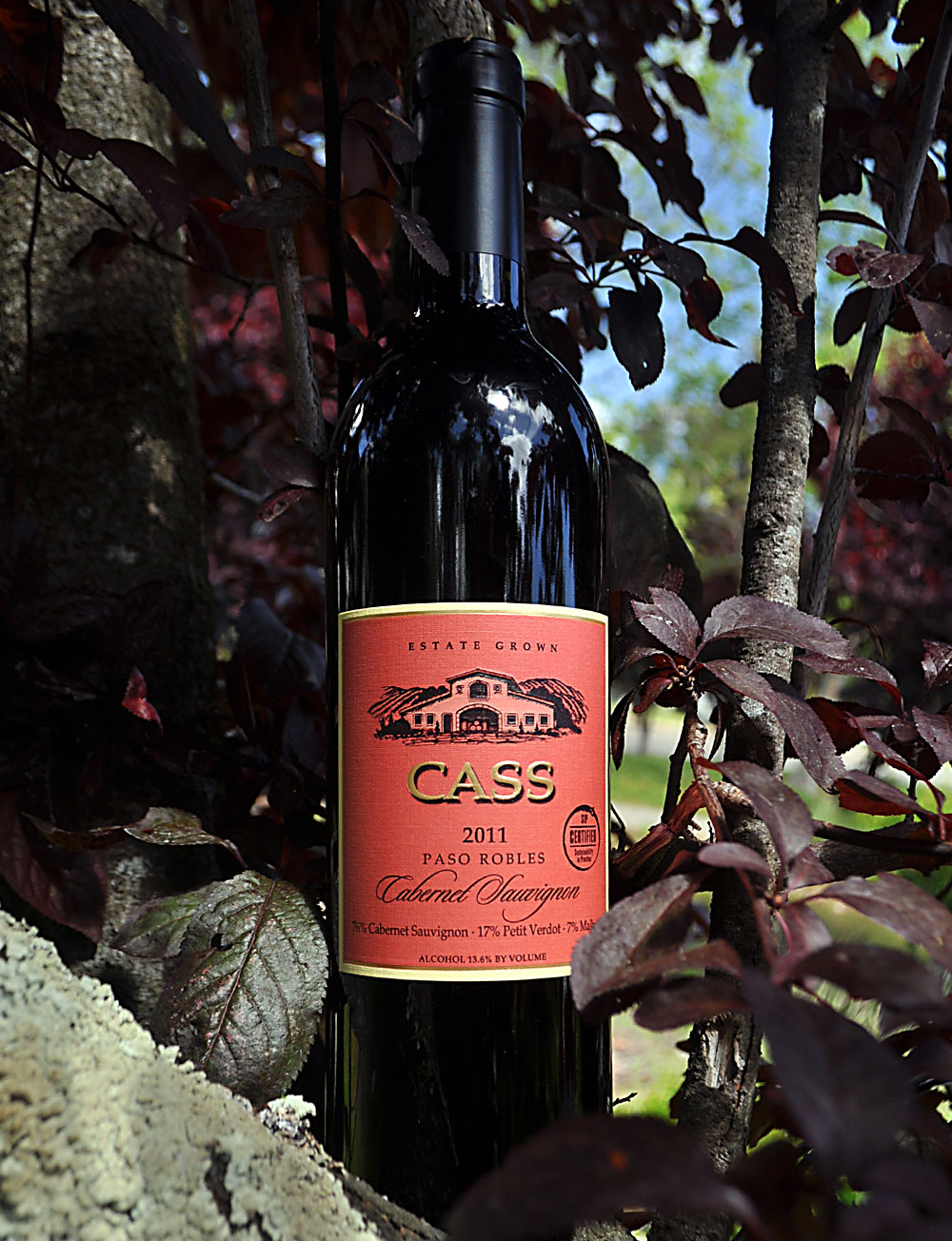 Cass Winery 2011 Paso Robles Estate Cabernet Sauvignon 750ml Wine Bottle