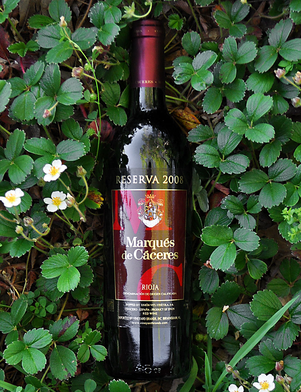 Marques de Caceres 2008 Rioja Reserva 750ml Wine Bottle