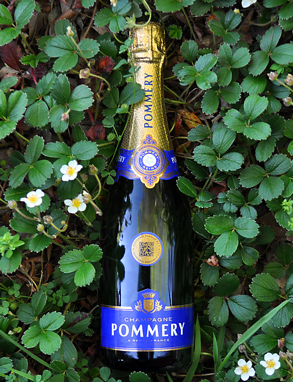 Pommery NV Brut Royal Champagne 750ml Wine Bottle
