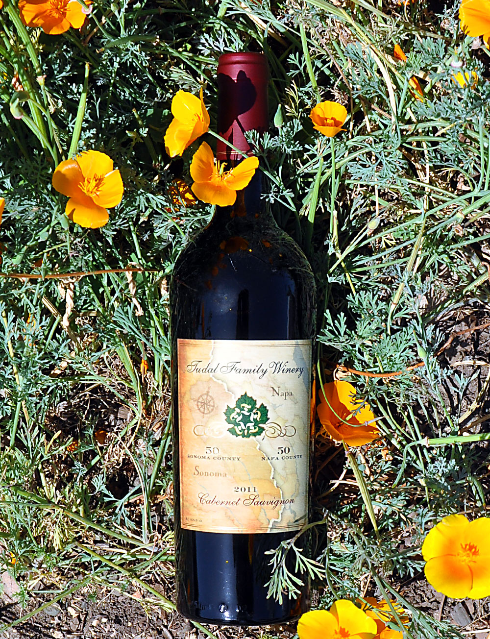 Tudal Family Winery 2011 50/50 Sonoma / Napa Cabernet Sauvignon 750ml Wine Bottle