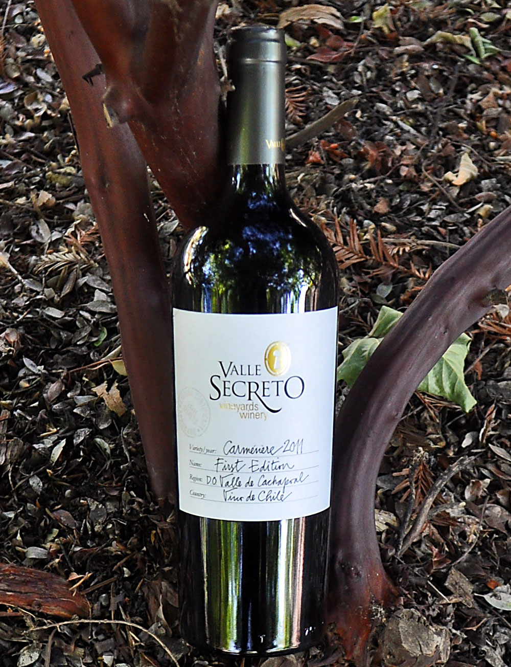Valle Secreto 2011 First Edition Carmenere 750ml Wine Bottle