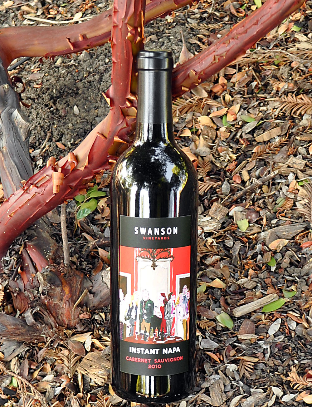 Swanson Vineyards 2010 Instant Napa Cabernet Sauvignon 750ml Wine Bottle