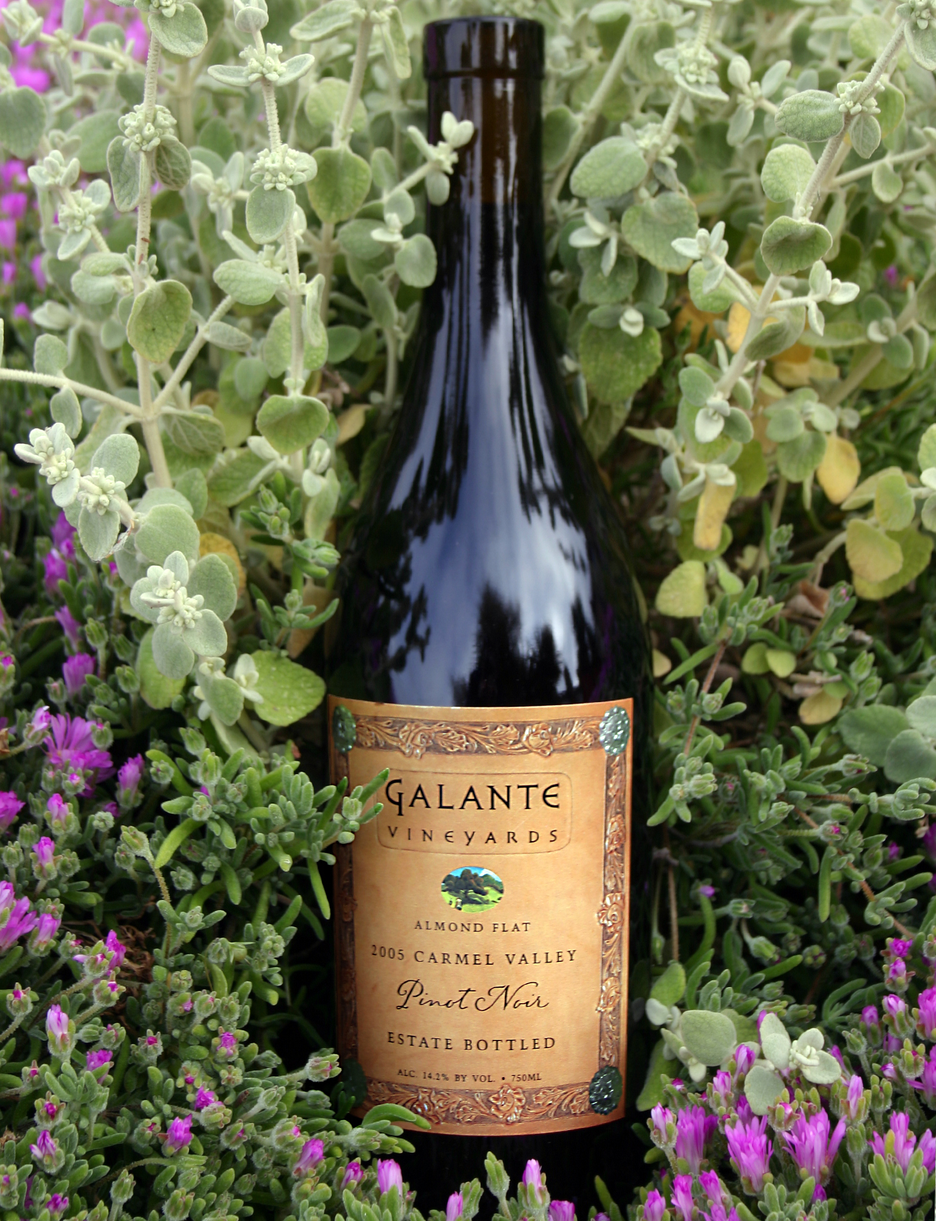 Galante Vineyards 2005 Almond Flat Pinot Noir 750ml Wine Bottle