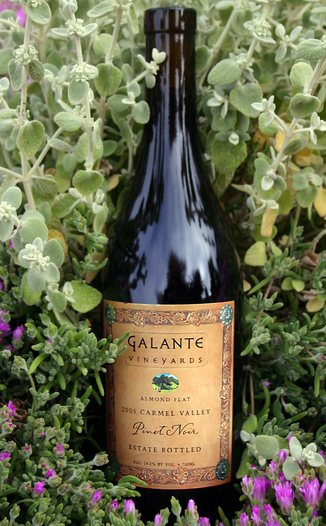 Galante Vineyards 2005 Almond Flat Pinot Noir 750ml Wine Bottle