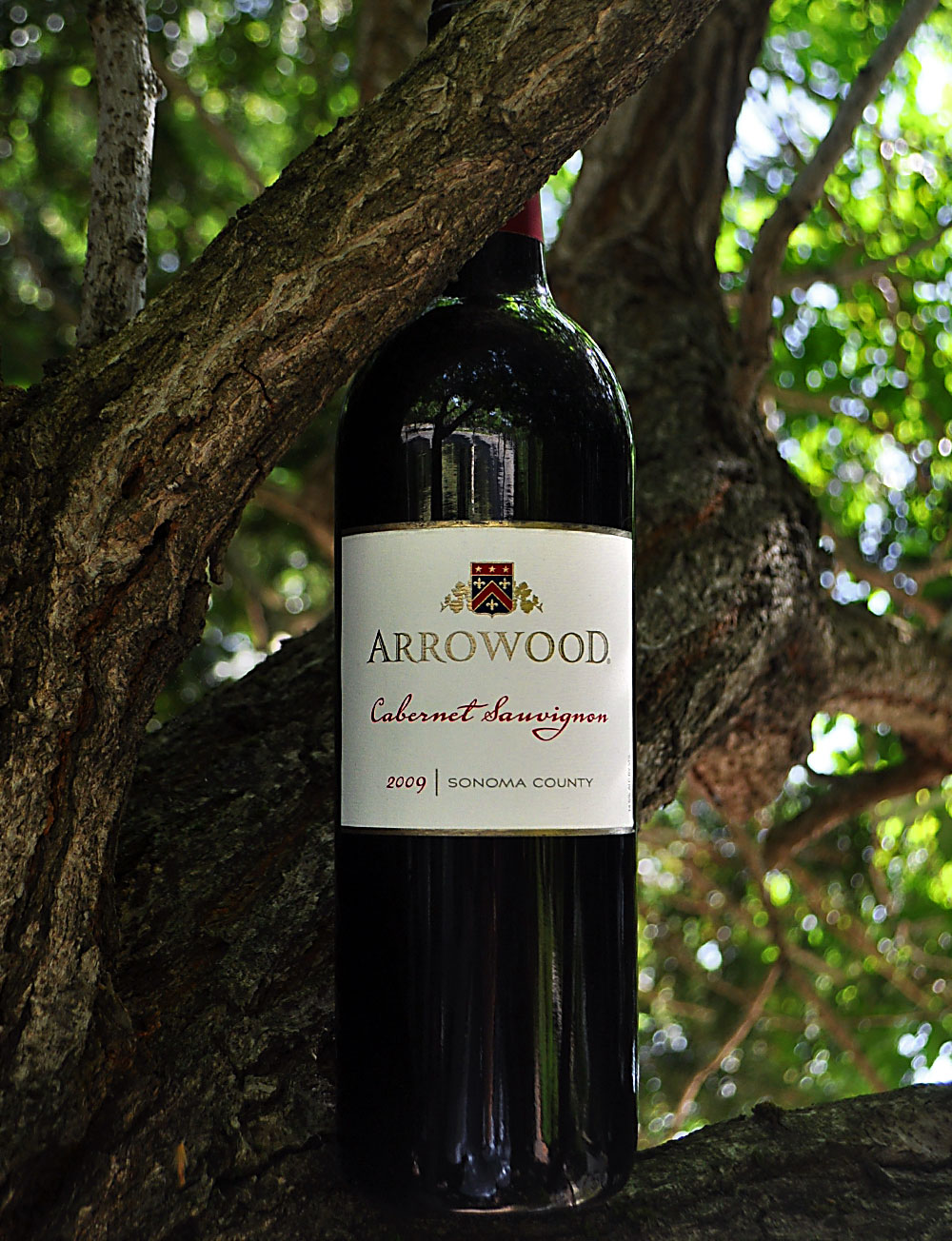 Arrowood 2009 Sonoma County Cabernet Sauvignon 750ml Wine Bottle