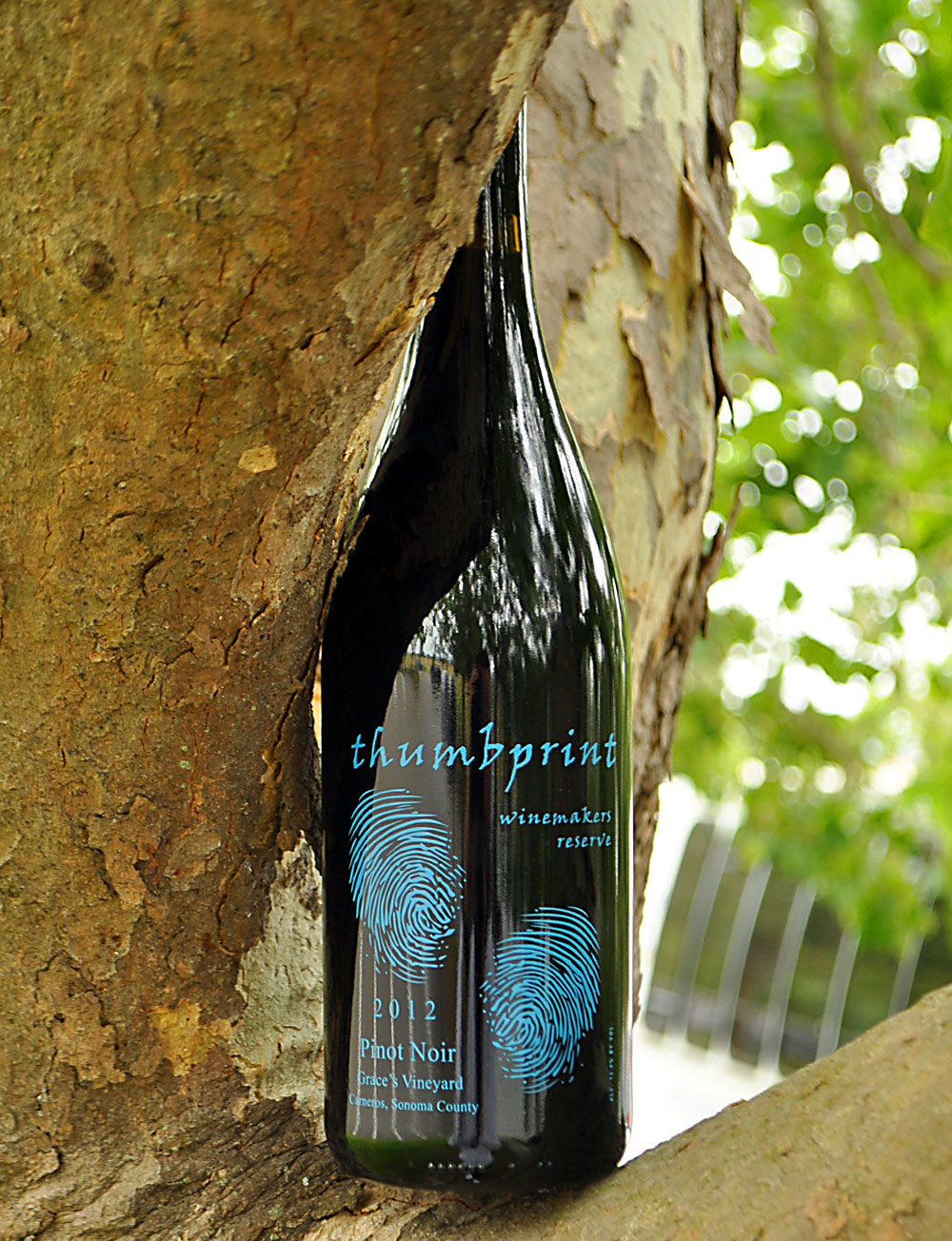 Thumbprint Cellars 2012 Winemaker's Reserve Pinot Noir 750ml Wine Bottle