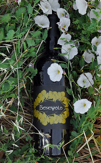 Benevolo Wines 2009 Napa Valley Red Wine 750ml Wine Bottle