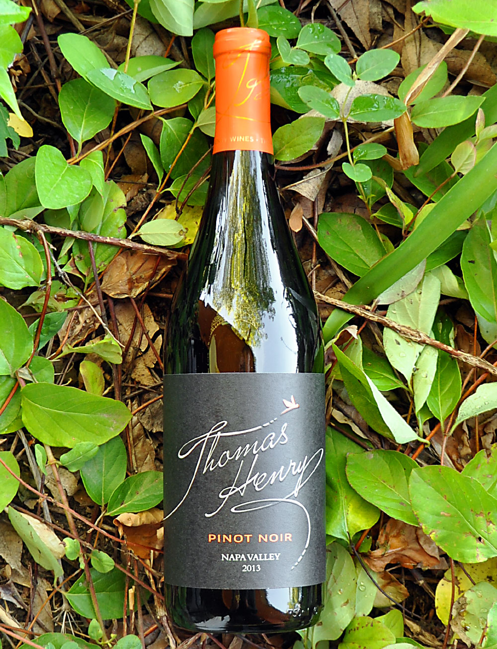 Thomas Henry 2013 Napa Valley Pinot Noir 750ml Wine Bottle