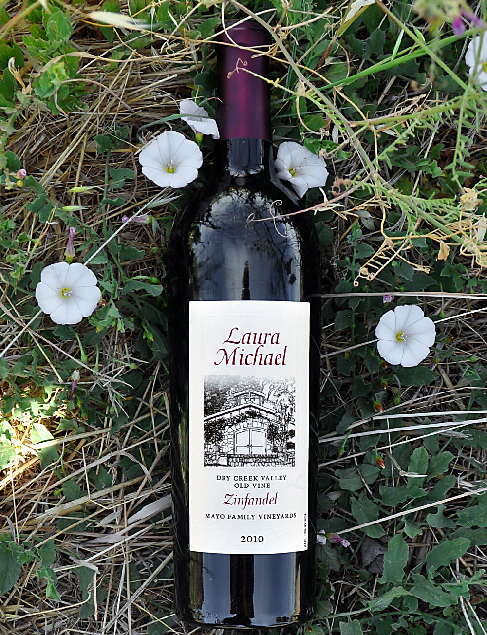 Laura Zahtila Vineyards 2010 Dry Creek Valley Zinfandel 750ml Wine Bottle