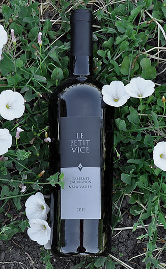 Vice Versa Wines 2011 Le Petit Vice Cabernet Sauvignon 750ml Wine Bottle