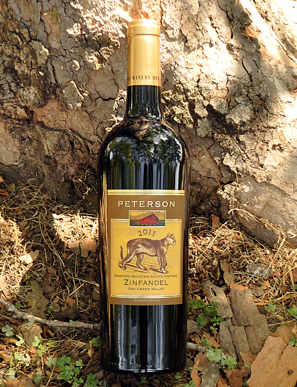 Peterson 2011 Bradford Mountain Dry Creek Valley Zinfandel 750ml Wine Bottle