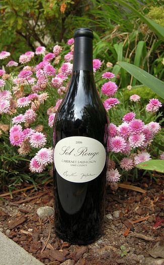 Sol Rouge 2006 Cabernet Sauvignon 750ml Wine Bottle