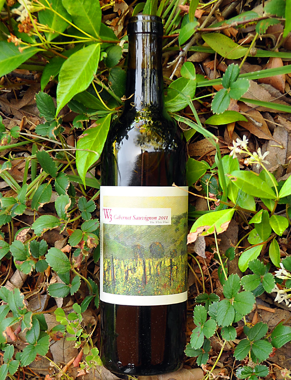 W3 - William White Wines 2011 Napa Valley Cabernet Sauvignon 750ml Wine Bottle