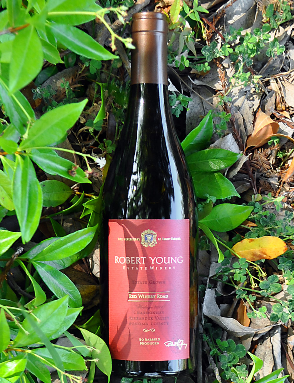 Robert Young 2011 Alexander Valley Chardonnay 750ml Wine Bottle