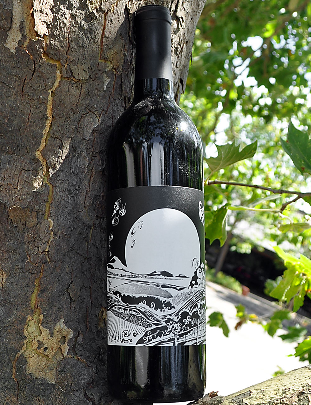 One Time Spaceman 2010 Paso Robles Moon Duck Rhône Blend 750ml Wine Bottle