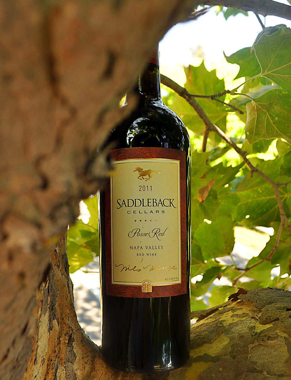 Saddleback Cellars 2011 Napa Valley Posse Red 750ml Wine Bottle