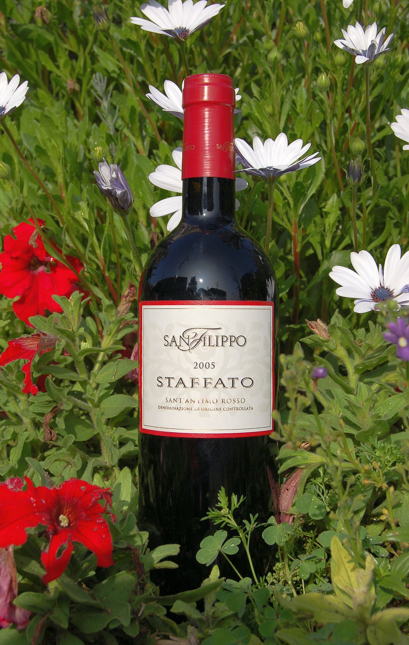 San Filippo 2005 Staffato Sant Antimo Rosso DOC 750ml Wine Bottle