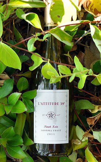 L'Attitude 39 2011 Sonoma Coast Pinot Noir 750ml Wine Bottle