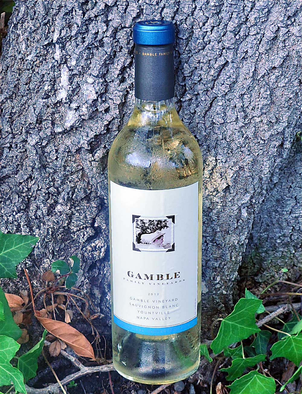 Gamble Family Vineyards 2012 Yountville Sauvignon Blanc 750ml Wine Bottle
