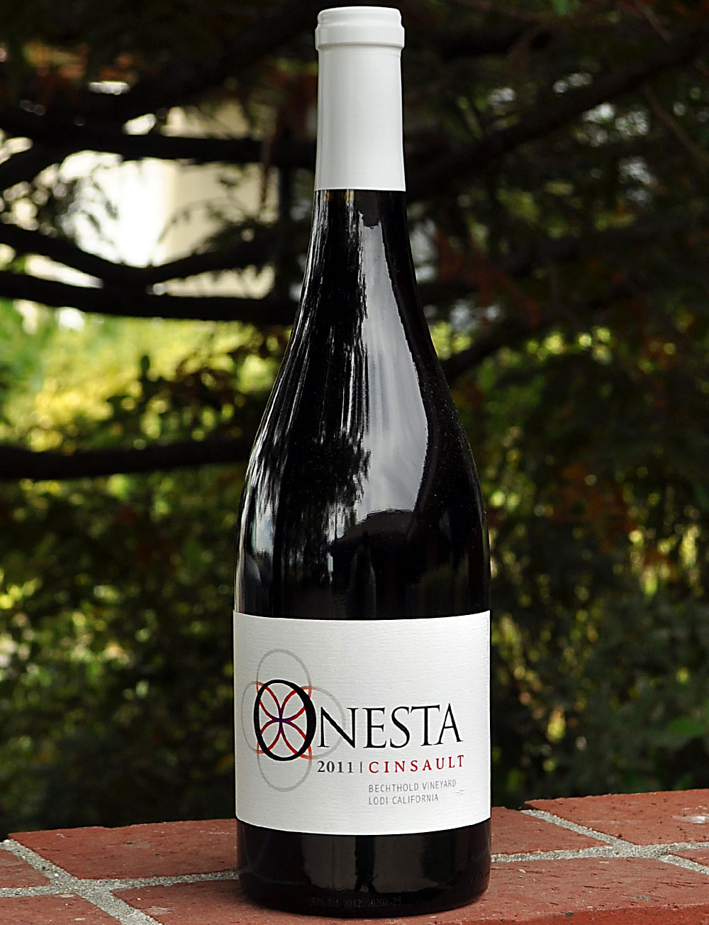 Onesta Wines 2011 Bechthold Vineyard Lodi Cinsault 750ml Wine Bottle