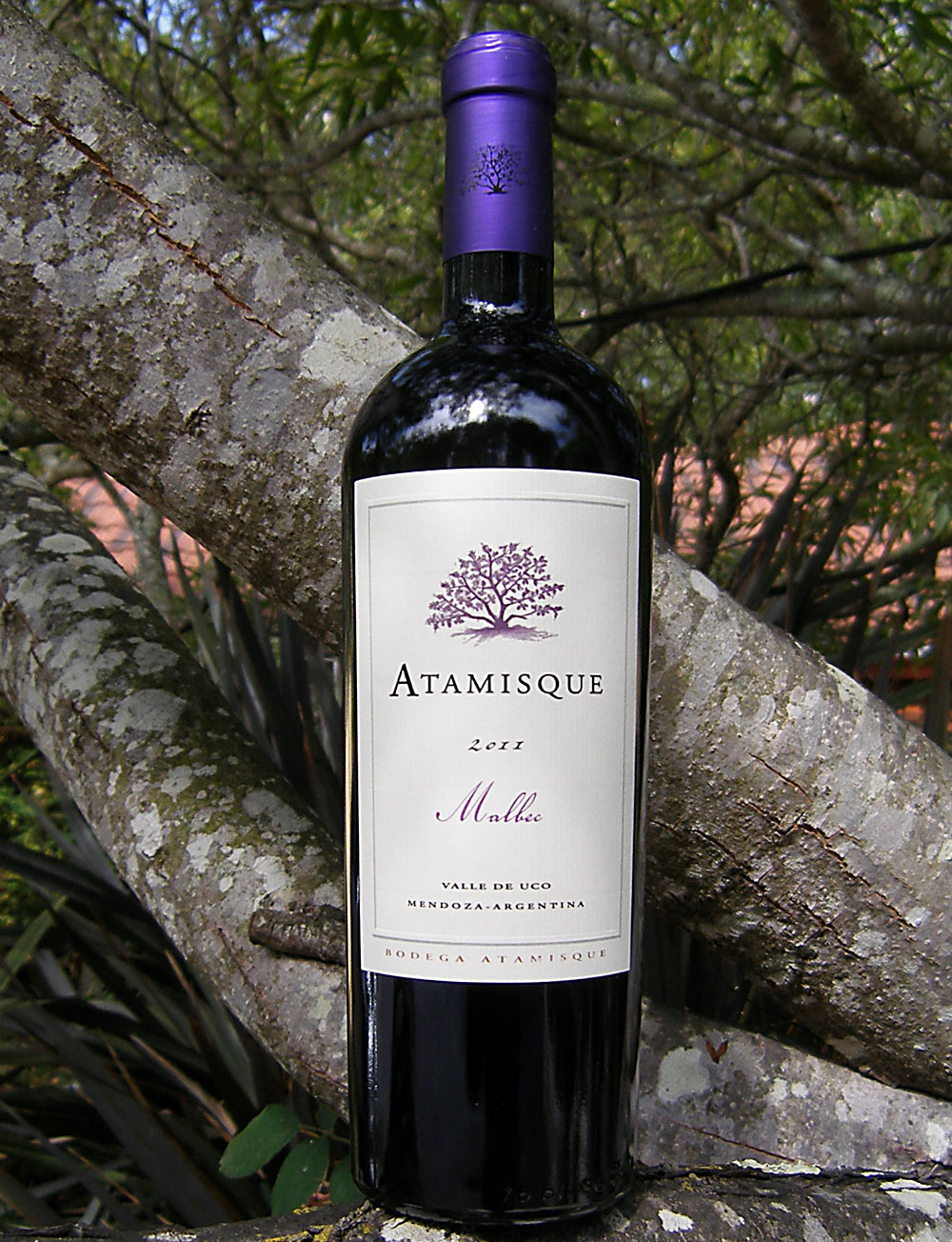 Atamisque 2011 Valle de Uco Malbec 750ml Wine Bottle