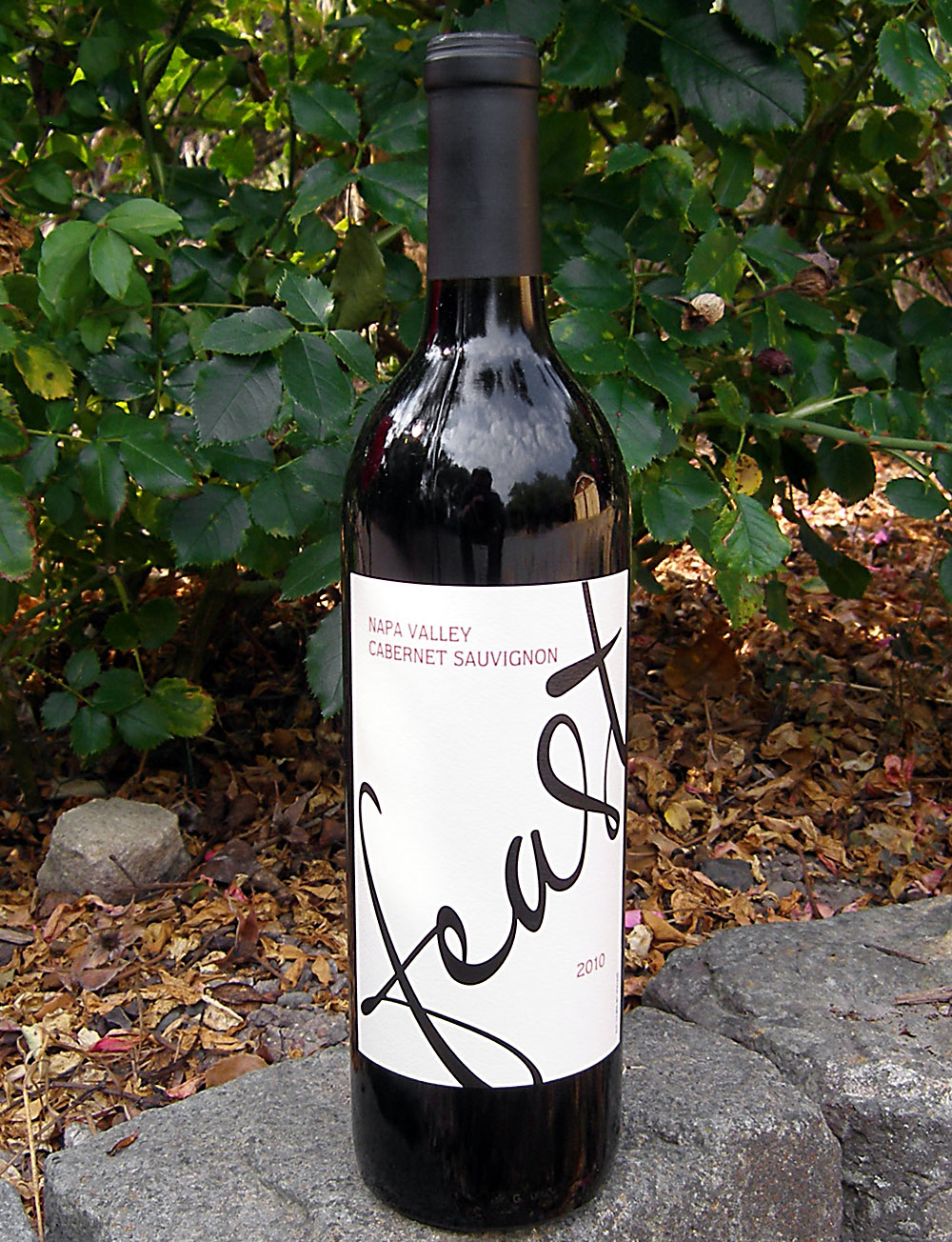 Feast It Forward 2010 Napa Valley Cabernet Sauvignon 750ml Wine Bottle