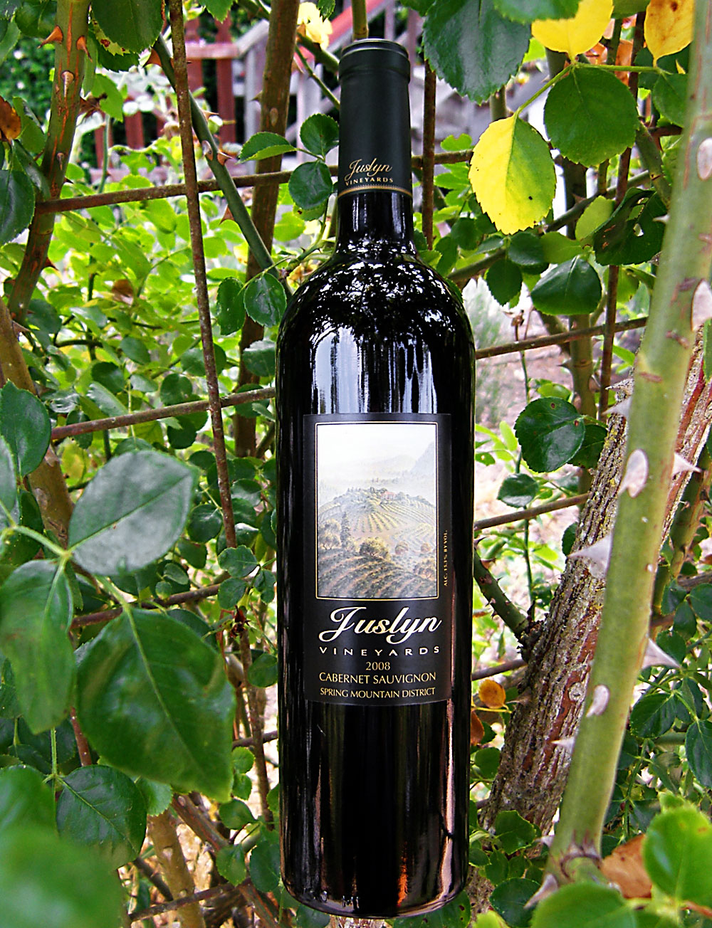 Juslyn Vineyards 2008 Spring Mountain District Estate Cabernet Sauvignon 750ml Wine Bottle