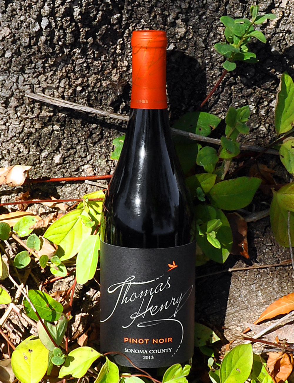 Thomas Henry 2013 Sonoma County Pinot Noir 750ml Wine Bottle