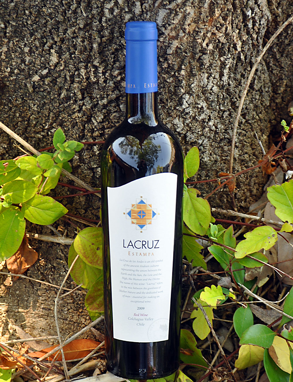 Estampa 2009 La Cruz Red Blend 750ml Wine Bottle