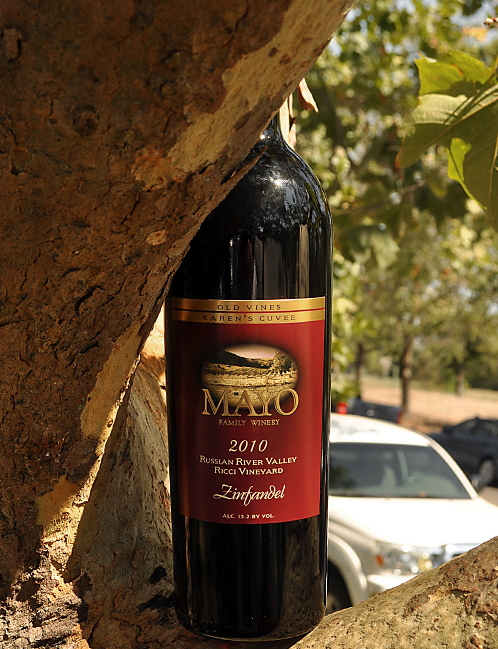 Mayo Family Winery 2010 Ricci Vineyard Old Vine Russian River Valley Zinfandel 750ml Wine Bottle