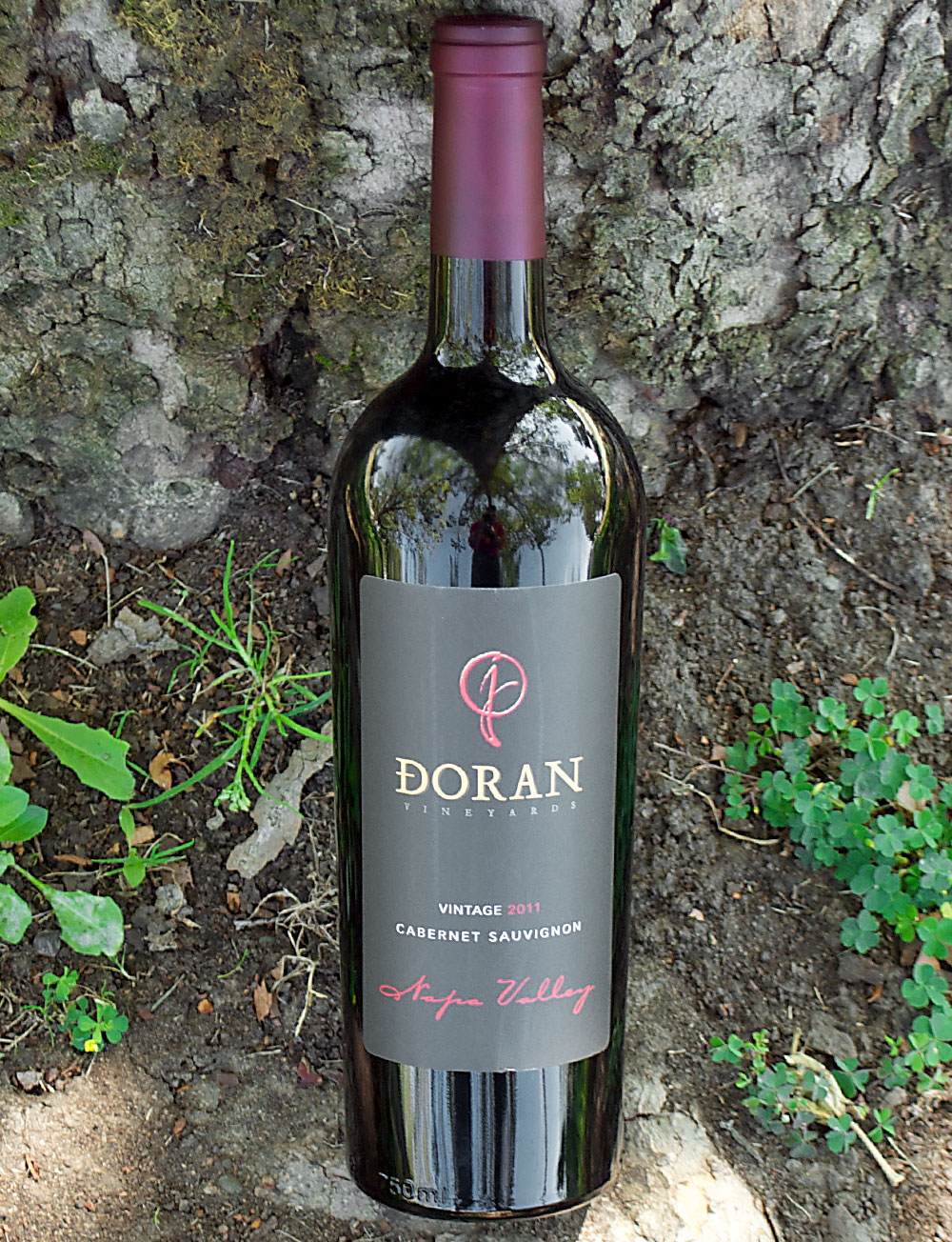 J. Doran Vineyards 2011 Napa Valley Cabernet Sauvignon 750ml Wine Bottle