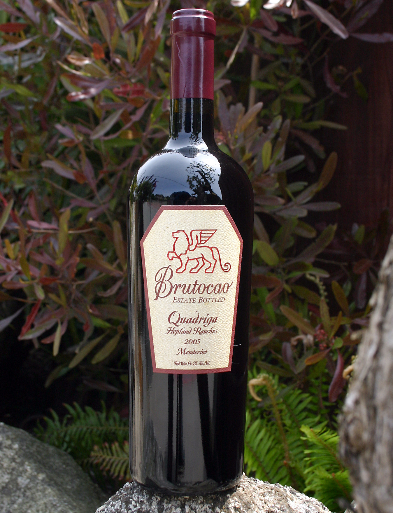 Brutocao Cellars 2005 Quadriga 750ml Wine Bottle