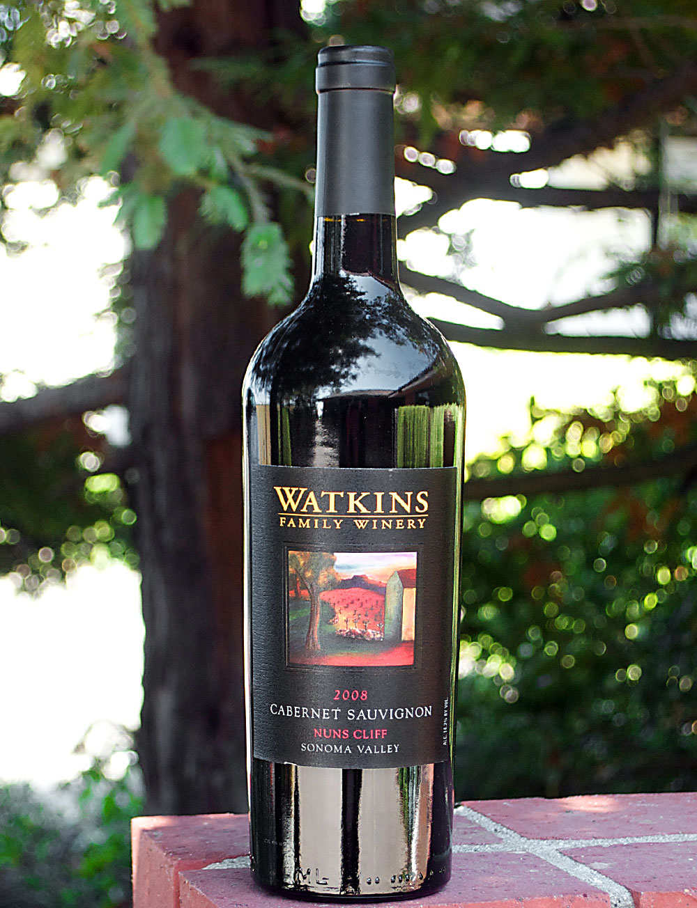 Watkins Family Winery 2008 Nuns Cliff Vineyard Sonoma Valley Cabernet Sauvignon 750ml Wine Bottle