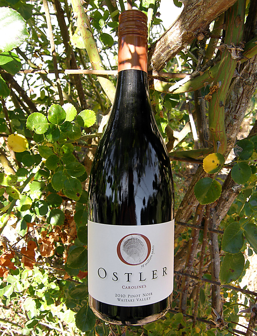 Ostler Vineyards 2010 Caroline's Waitaki Valley Pinot Noir 750ml Wine Bottle