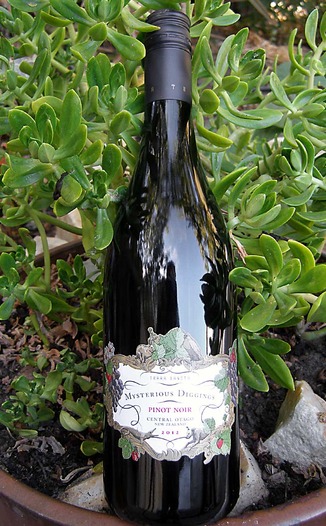 Terra Sancta Wines 2012 Mysterious Diggings Central Otago Pinot Noir 750ml Wine Bottle
