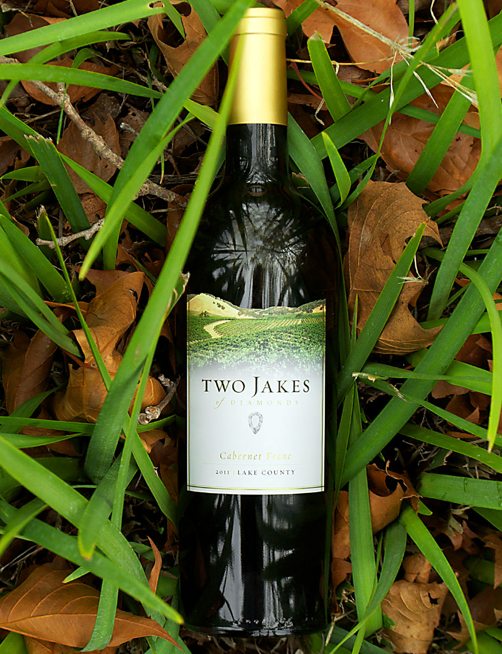 Diamond Ridge Vineyards 2011 Two Jakes of Diamonds Lake County Cabernet Franc 750ml Wine Bottle