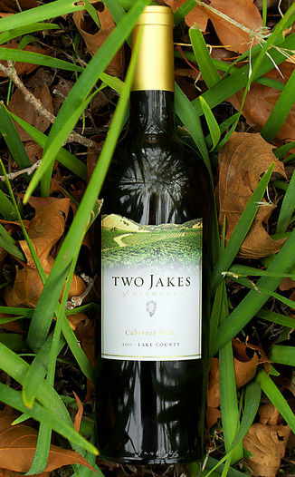 Diamond Ridge Vineyards 2011 Two Jakes of Diamonds Lake County Cabernet Franc 750ml Wine Bottle