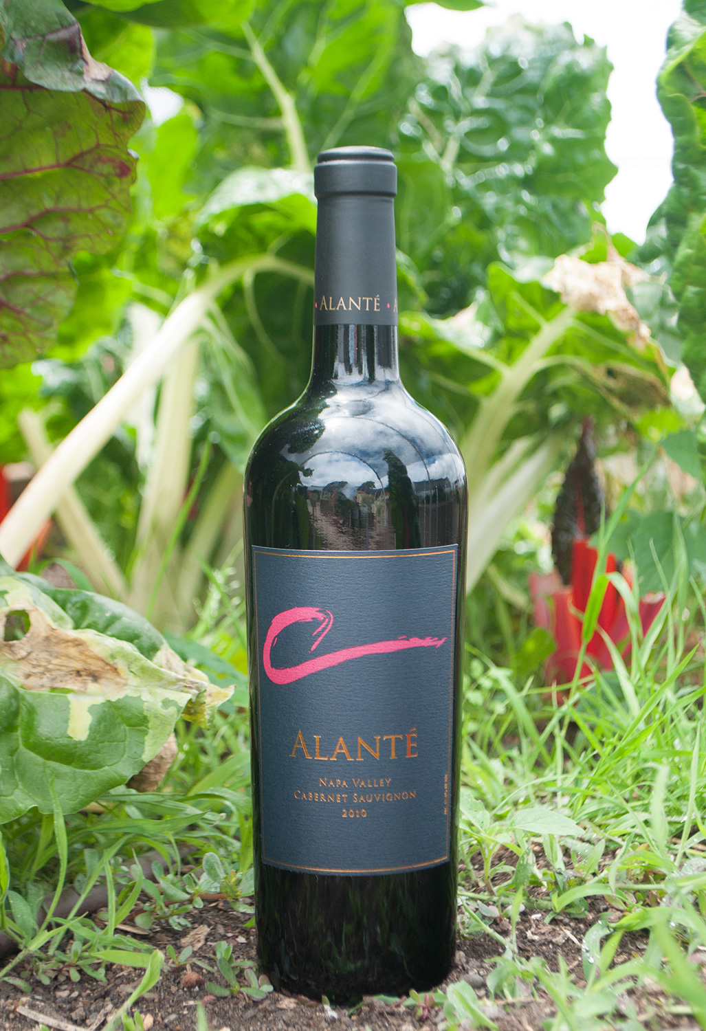 Alante Vineyard & Winery 2010 Napa Valley Cabernet Sauvignon 750ml Wine Bottle