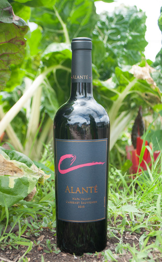 Alante Vineyard & Winery 2010 Napa Valley Cabernet Sauvignon 750ml Wine Bottle