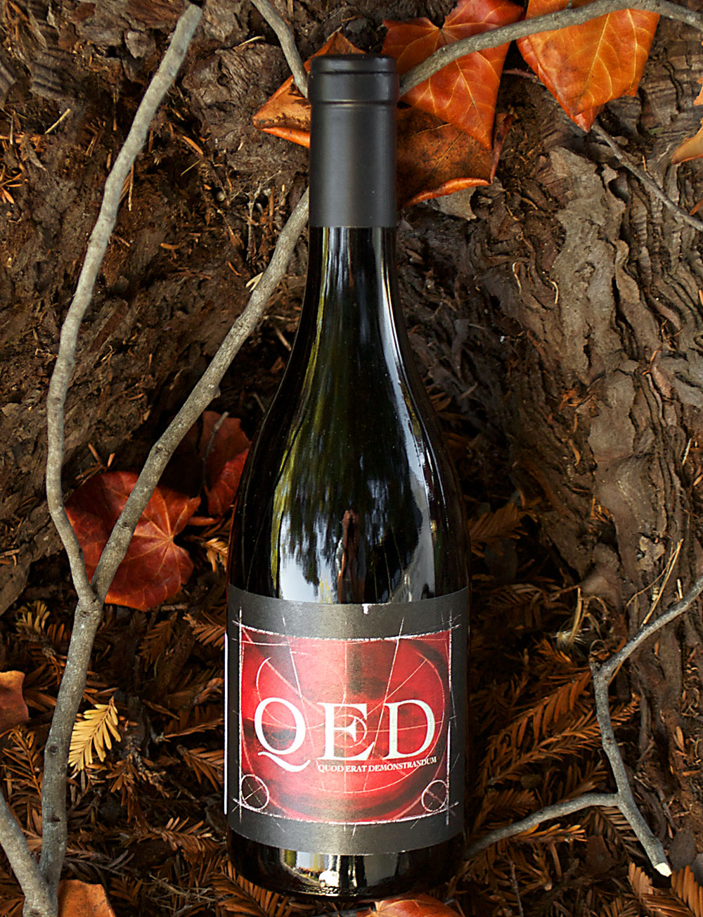 Rasa Vineyards 2009 QED Red Blend 750ml Wine Bottle