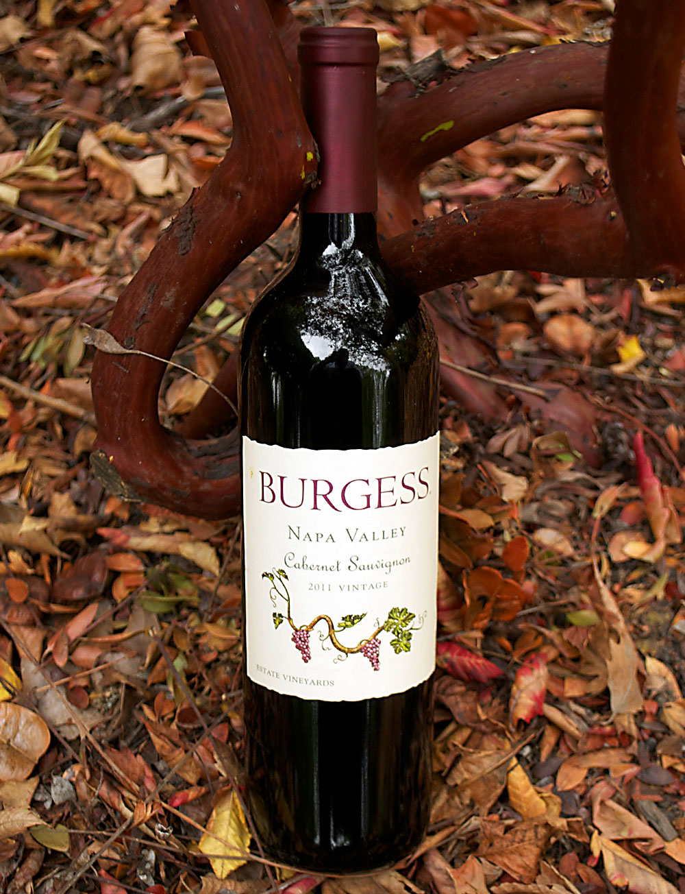 Burgess Cellars 2011 Napa Valley Cabernet Sauvignon 750ml Wine Bottle