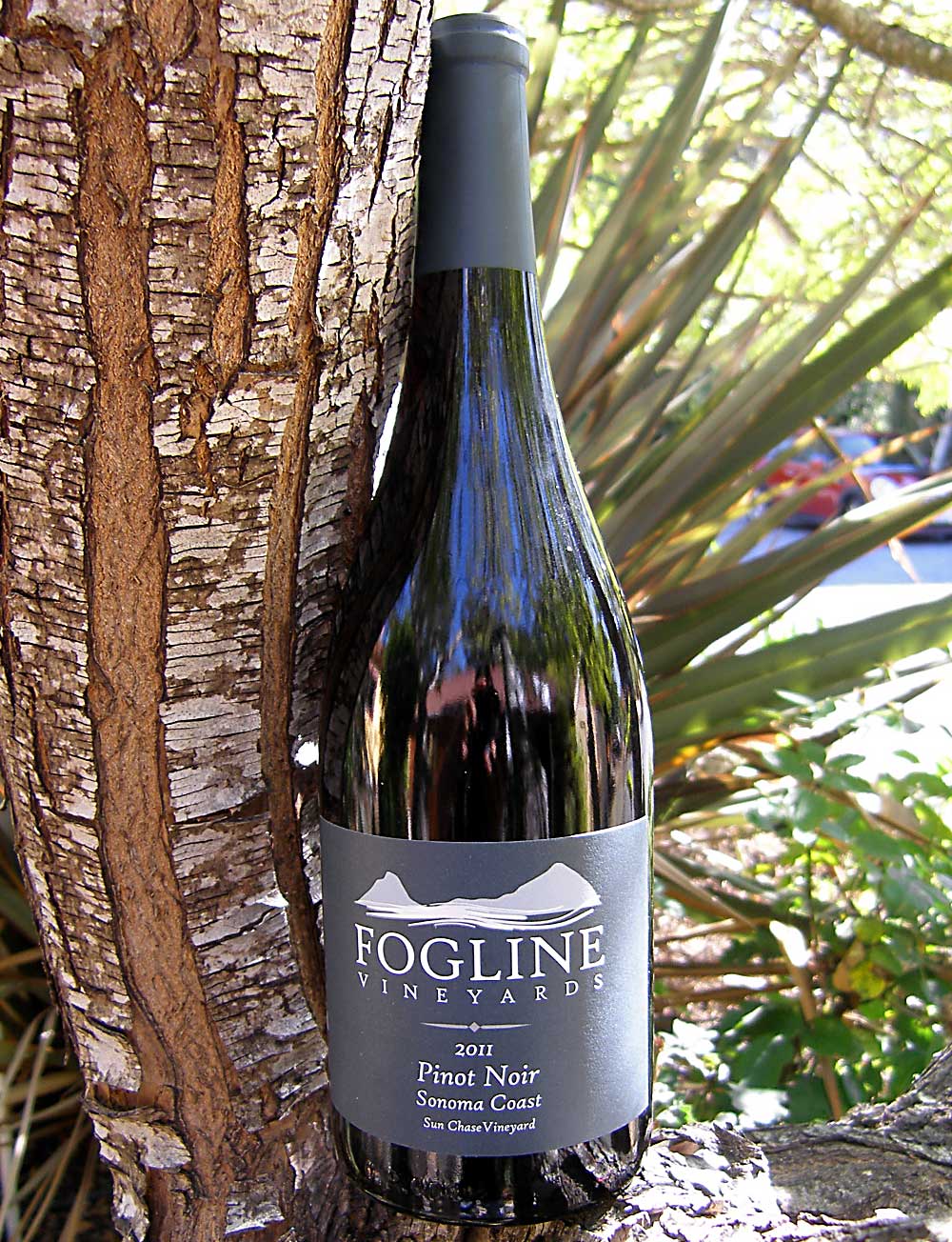 Fogline Vineyards 2011 Sonoma Coast Pinot Noir 750ml Wine Bottle
