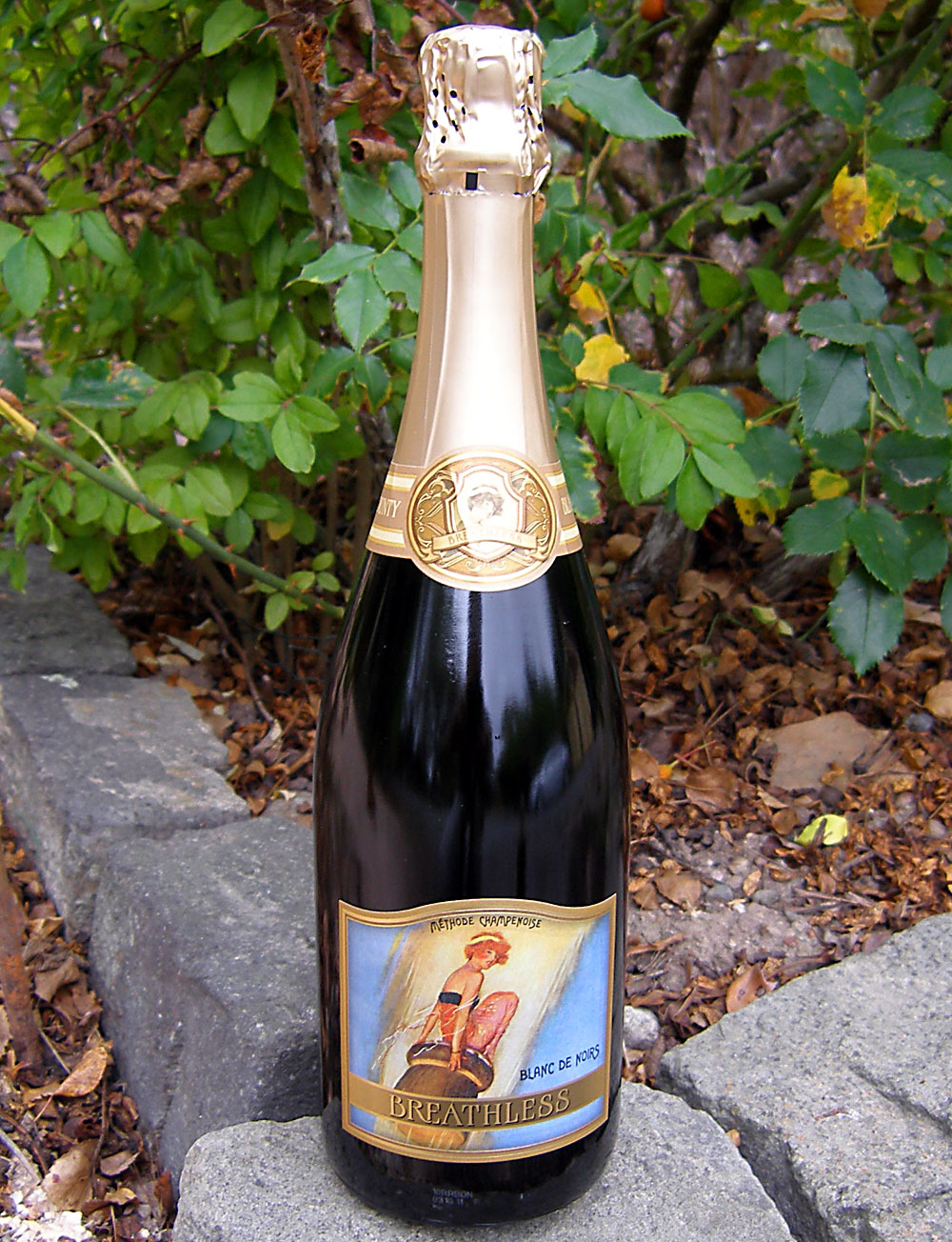 Breathless Wines NV Méthode Champenoise Blanc de Noirs 750ml Wine Bottle