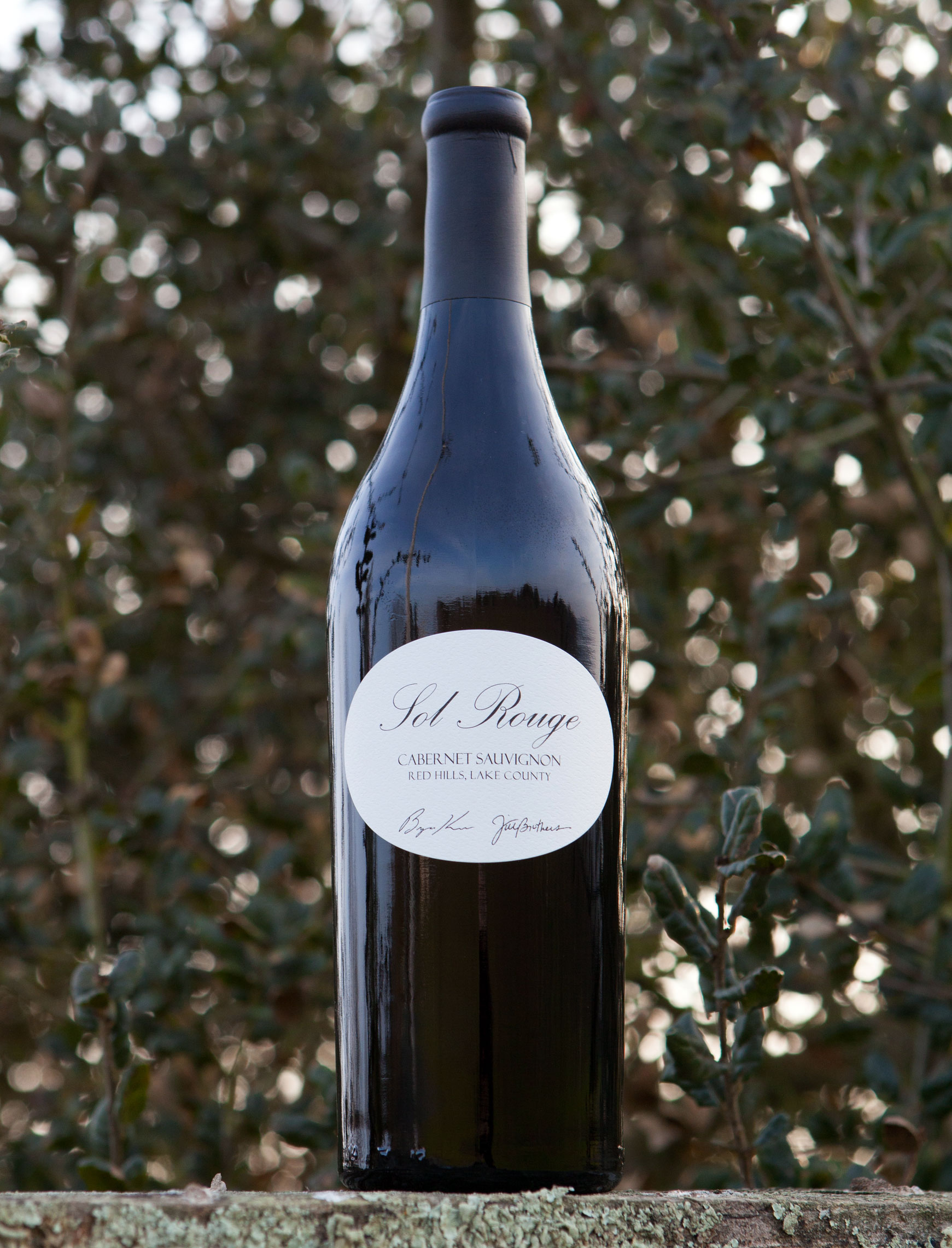 Sol Rouge 2010 Cabernet Sauvignon Estate 750ml Wine Bottle