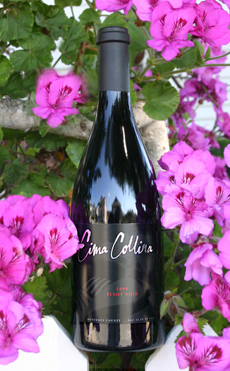 Cima Collina 2006 Pinot Noir - Monterey 750ml Wine Bottle