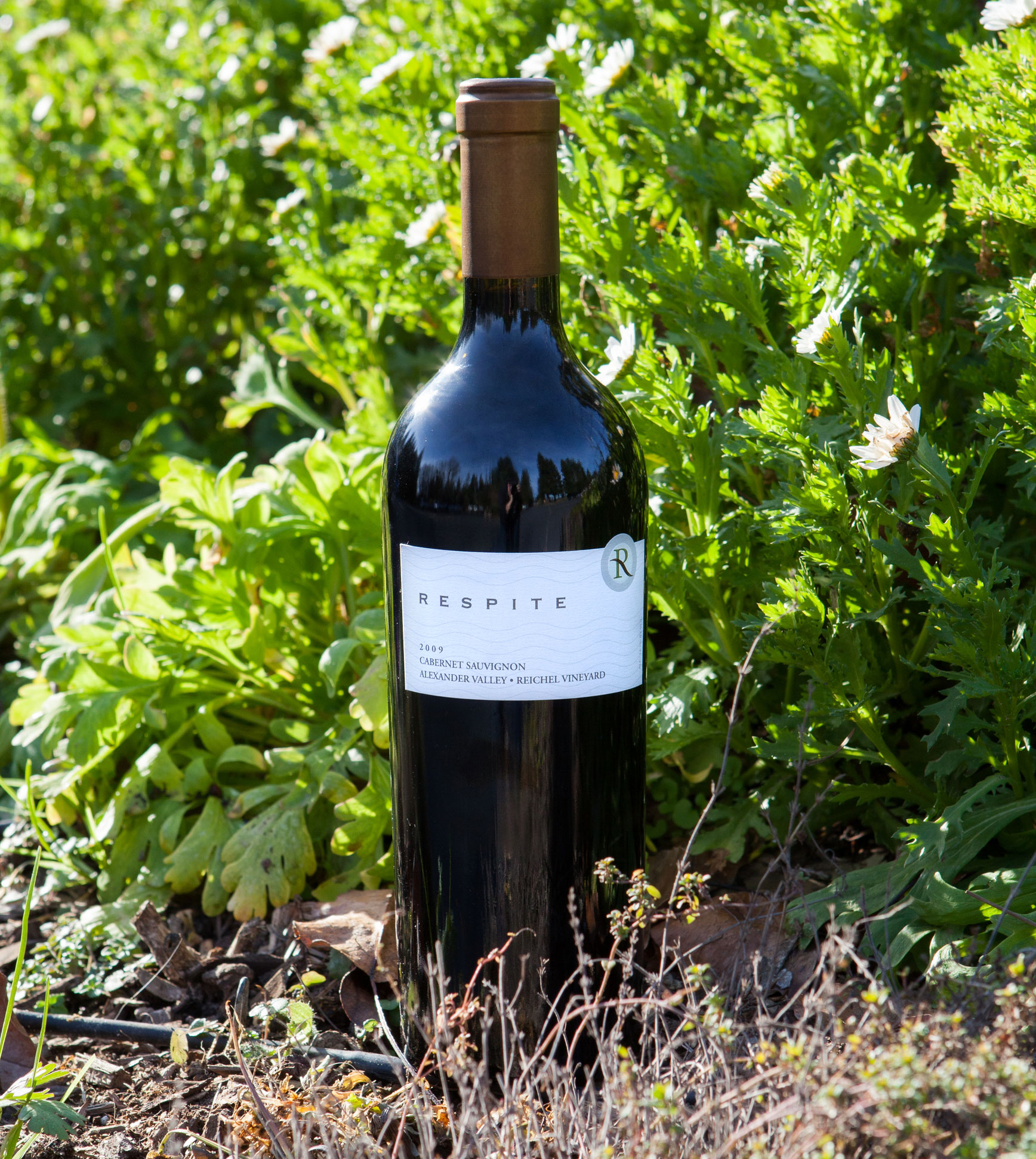 Respite 2009 Alexander Valley Cabernet Sauvignon 750ml Wine Bottle